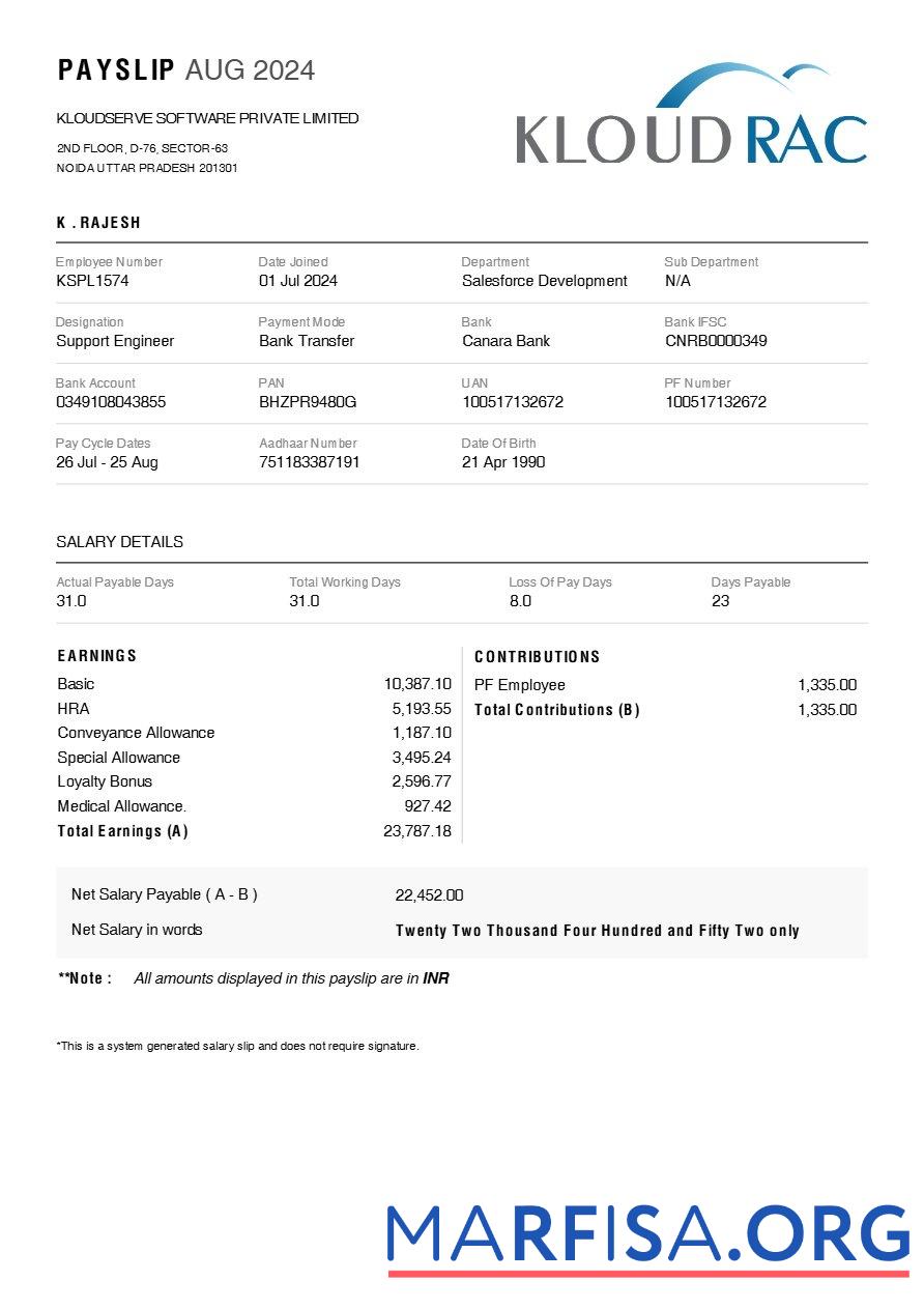 Printable Kloudserve Software payslip real example